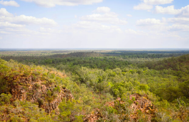 Ayudas de la Conselleria de Innovación: impulsando los clústeres empresariales